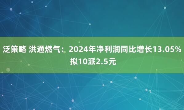 泛策略 洪通燃气：2024年净利润同比增长13.05% 拟10派2.5元