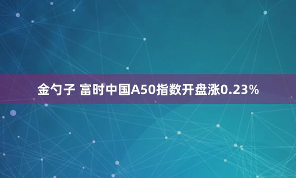 金勺子 富时中国A50指数开盘涨0.23%