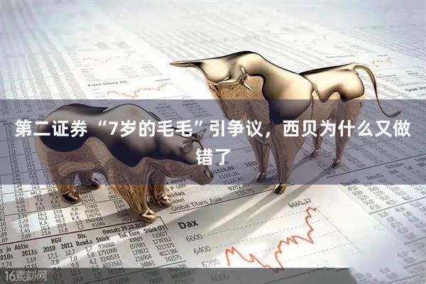 第二证券 “7岁的毛毛”引争议，西贝为什么又做错了