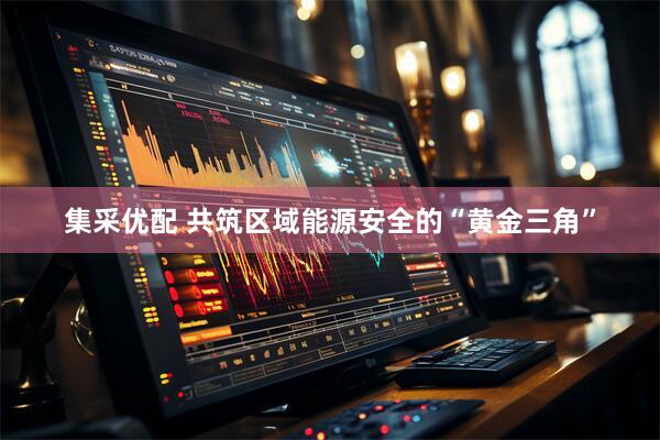 集采优配 共筑区域能源安全的“黄金三角”