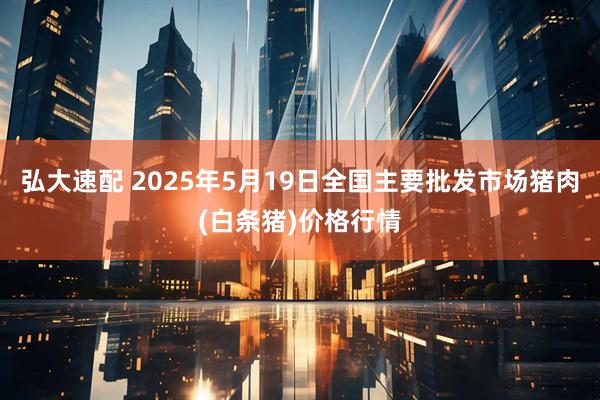 弘大速配 2025年5月19日全国主要批发市场猪肉(白条猪)价格行情