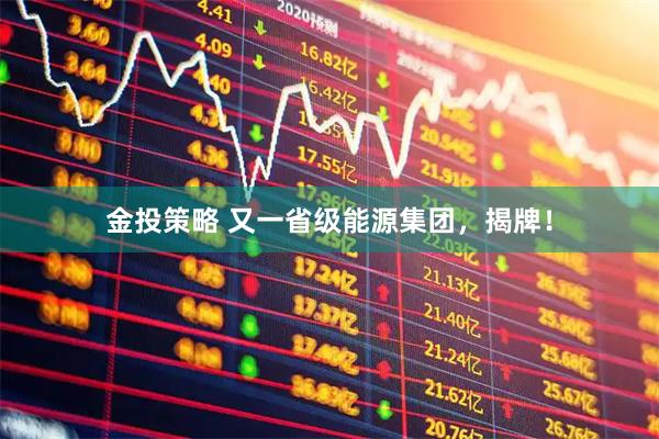 金投策略 又一省级能源集团，揭牌！